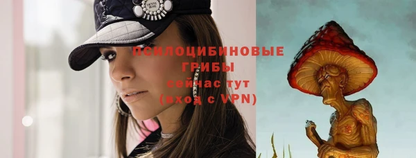 молекула духа Инсар