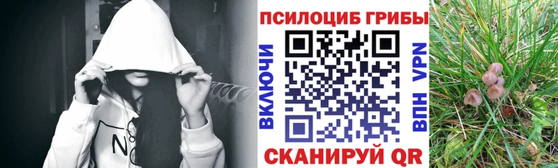 Галлюциногенные грибы прущие грибы  где продают наркотики  Болгар 