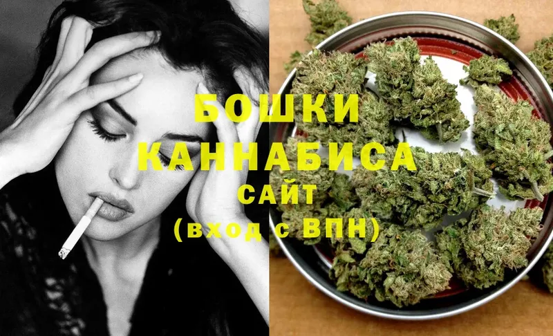 купить   Болгар  Шишки марихуана индика 